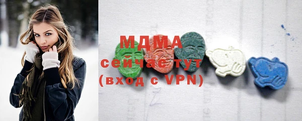 индика Гусев