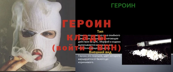 индика Гусев