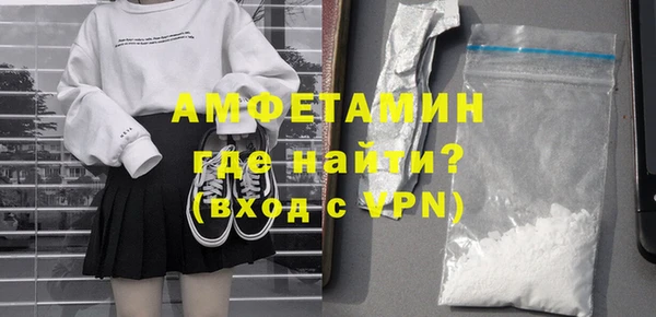 индика Гусев