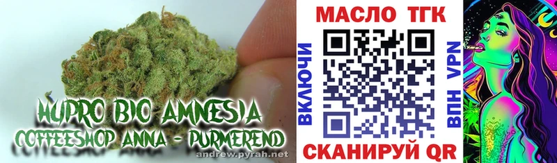 наркотики  shop официальный сайт  Дистиллят ТГК концентрат  Гусев  гидра  